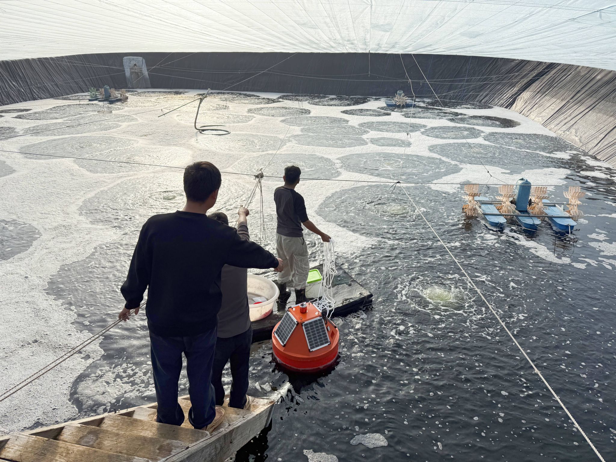 bti������(�й�)�ٷ���վ - APP����